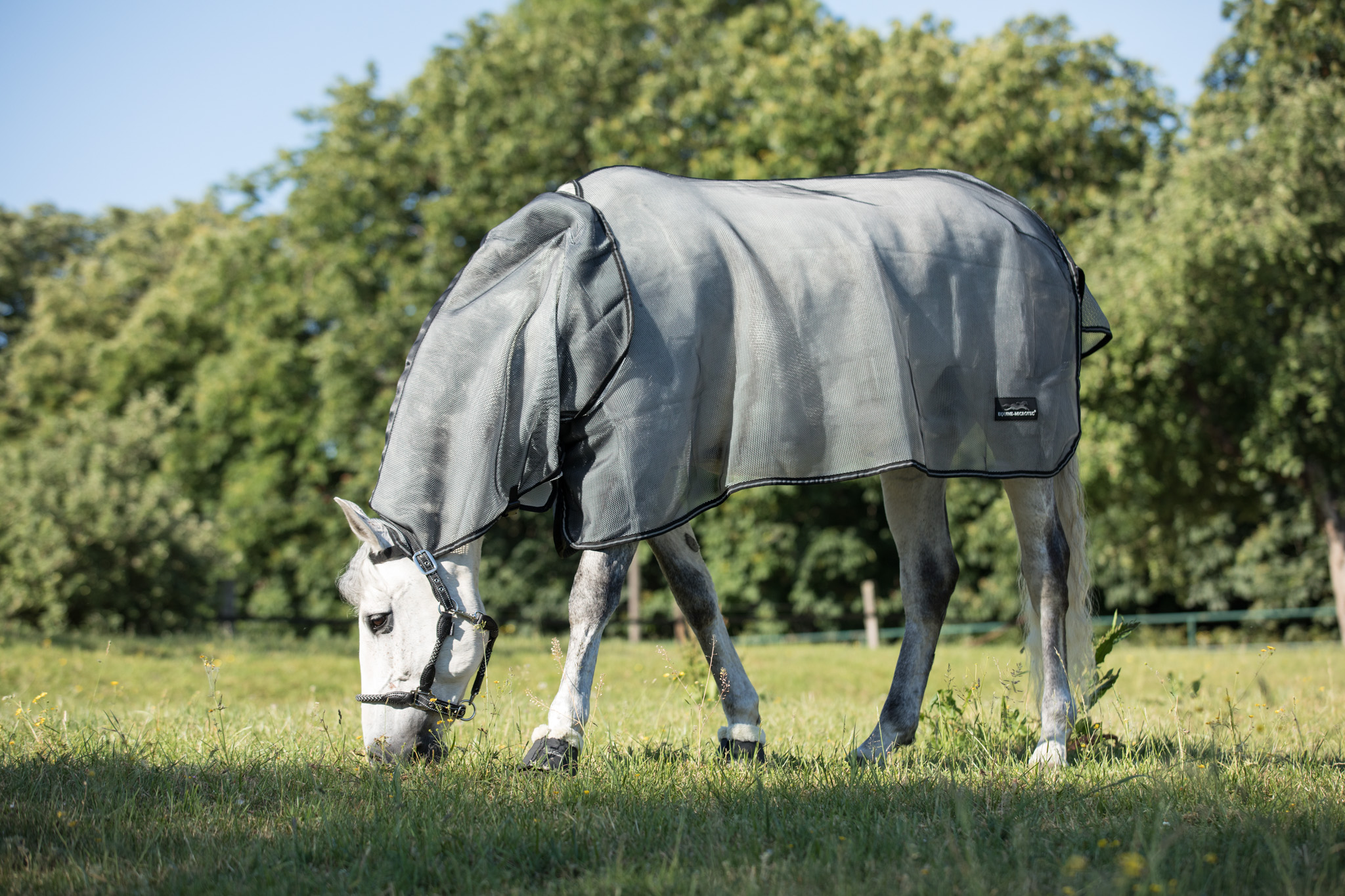 10 Tipps zum Anweiden