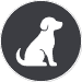 nicht nur Pferde sondern auch Hunde lieben es