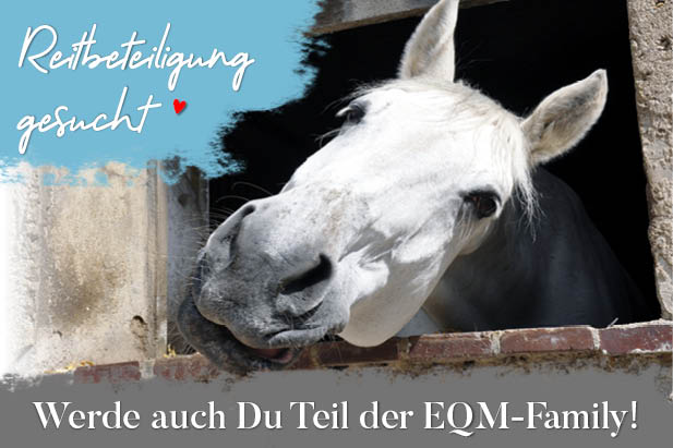 Wir gehen neue Wege - kommst Du mit?