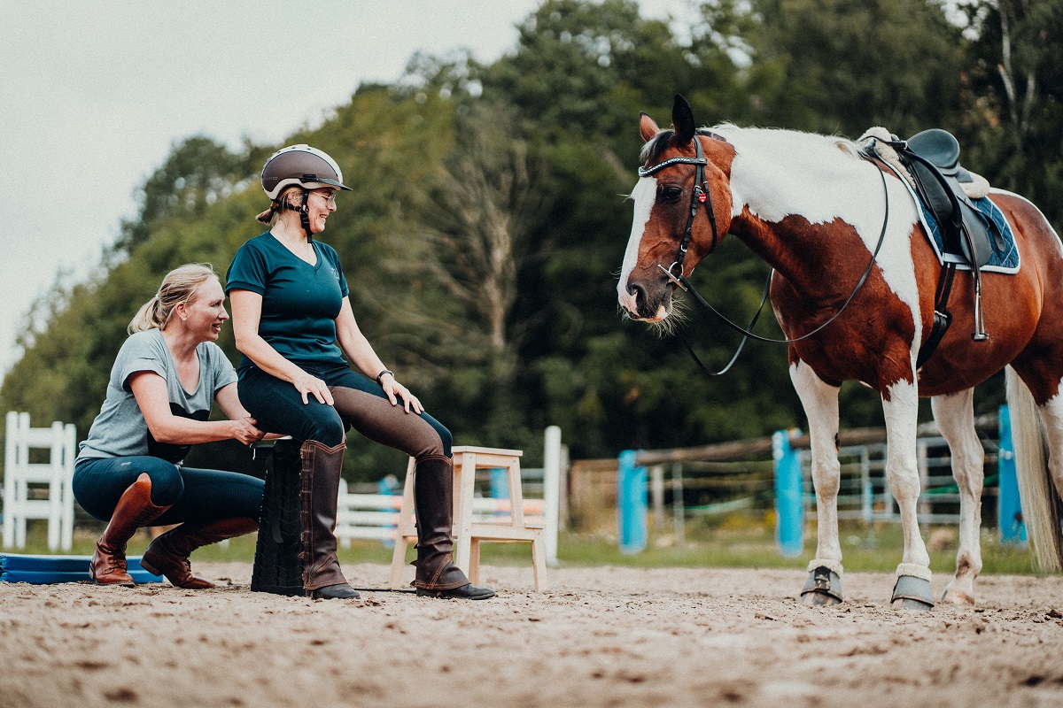 Biomechanisch Korrekt Reiten (BKR) – für mehr Harmonie und Mitspracherecht für das Pferd!